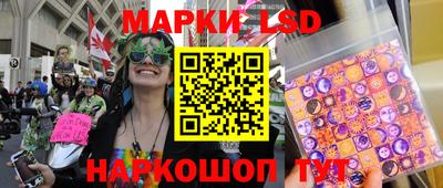 стаф Будённовск