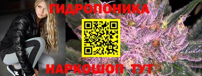 стаф Будённовск